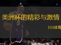 美洲杯的精彩與激情