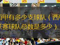 西甲有多少支球隊(duì)（西甲聯(lián)賽球隊(duì)總數(shù)是多少）