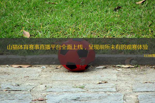 山貓體育賽事直播平臺全面上線，呈現(xiàn)前所未有的觀賽體驗