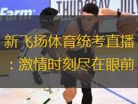 新飛揚(yáng)體育統(tǒng)考直播：激情時(shí)刻盡在眼前