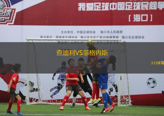 查迪利VS菲格內(nèi)斯