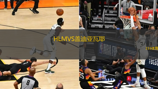 HLMVS蓋迪亞瓦耶