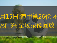 03月15日 德甲第26輪 不萊梅vs門興 全場(chǎng)錄像回放