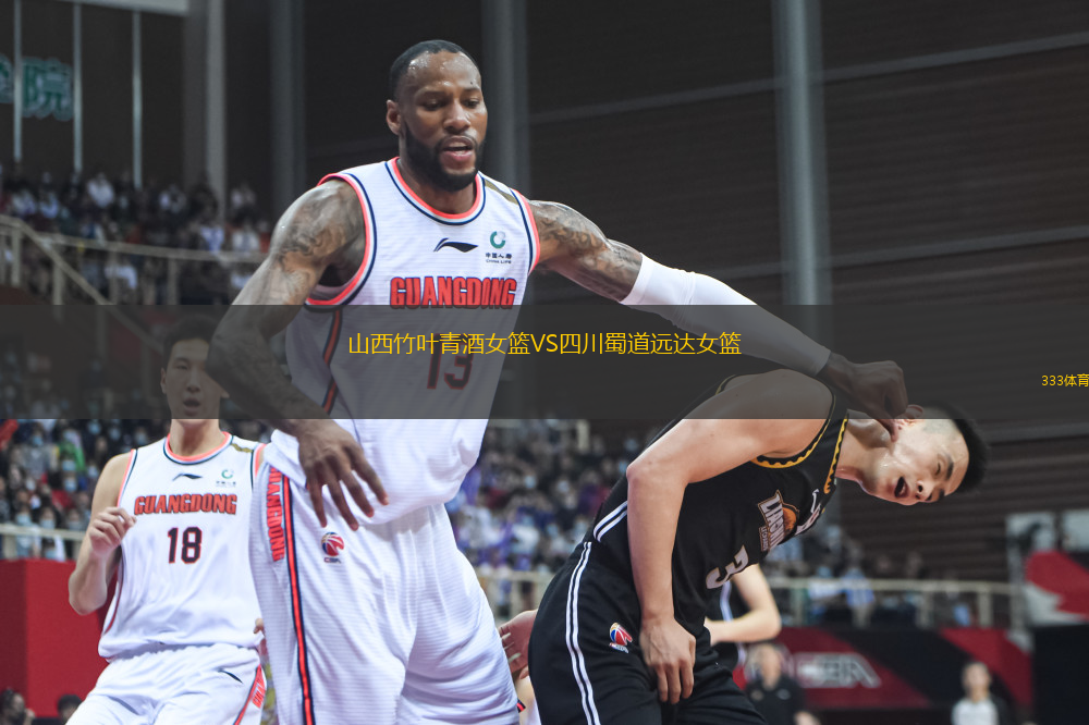 山西竹葉青酒女籃VS四川蜀道遠達女籃