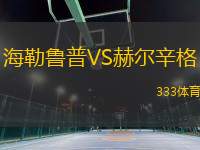 海勒魯普VS赫爾辛格