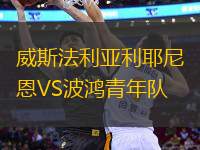 威斯法利亞利耶尼恩VS波鴻青年隊(duì)