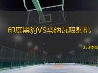 印度黑豹VS馬納瓦噴射機(jī)