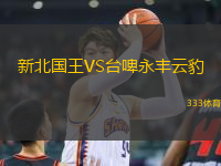 新北國王VS臺(tái)啤永豐云豹