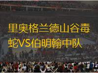 里奧格蘭德山谷毒蛇VS伯明翰中隊