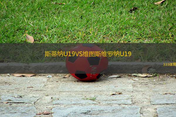 斯蒂納U19VS維圖斯維羅納U19