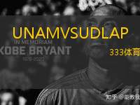 UNAMVSUDLAP