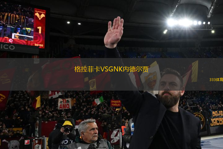格拉菲卡VSGNK內(nèi)德?tīng)栙Z