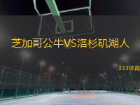 芝加哥公牛VS洛杉磯湖人