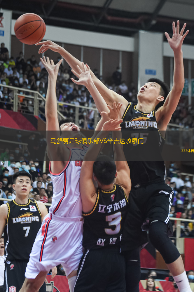 馬舒賈足球俱樂部VS辛吉達噴泉門