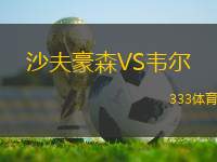 沙夫豪森VS韋爾