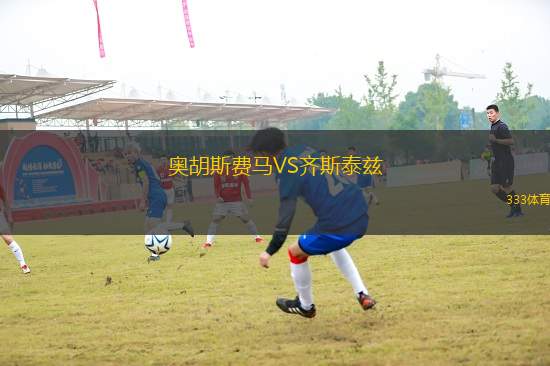 奧胡斯費(fèi)馬VS齊斯泰茲