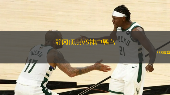 靜岡頂點VS神戶鸛鳥