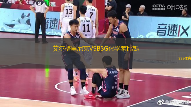 艾爾格里尼克VSBSG化學(xué)萊比錫