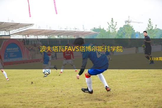 波夫塔瓦FAVS塔博爾斯科學(xué)院