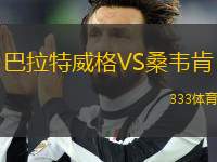 巴拉特威格VS桑韋肯
