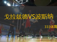 戈拉茲德VS波斯納