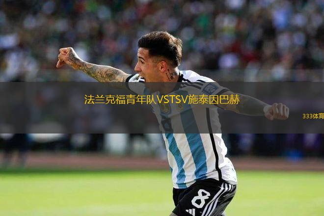 法蘭克福青年隊(duì)VSTSV施泰因巴赫