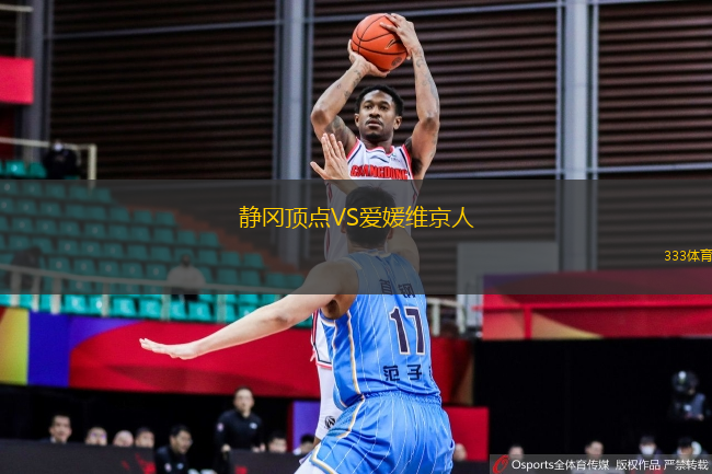 靜岡頂點VS愛媛維京人