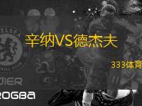 辛納VS德杰夫
