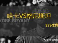哈卡VS格尼斯坦