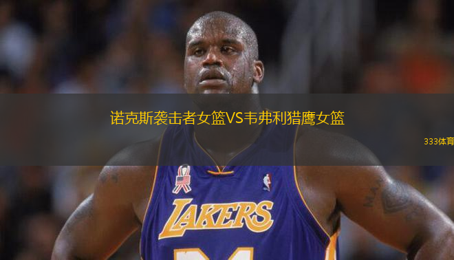 諾克斯襲擊者女籃VS韋弗利獵鷹女籃