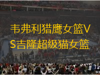 韋弗利獵鷹女籃VS吉隆超級(jí)貓女籃