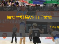 梅特蘭野馬VS山丘黃蜂