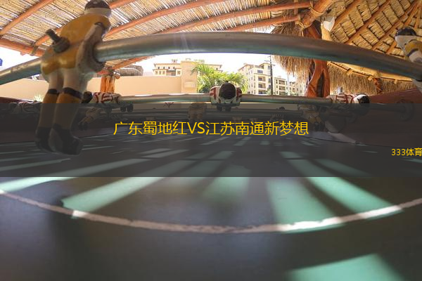 廣東蜀地紅VS江蘇南通新夢想