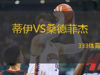 蒂伊VS桑德菲杰