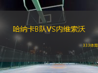 哈納卡B隊(duì)VS內(nèi)維索沃