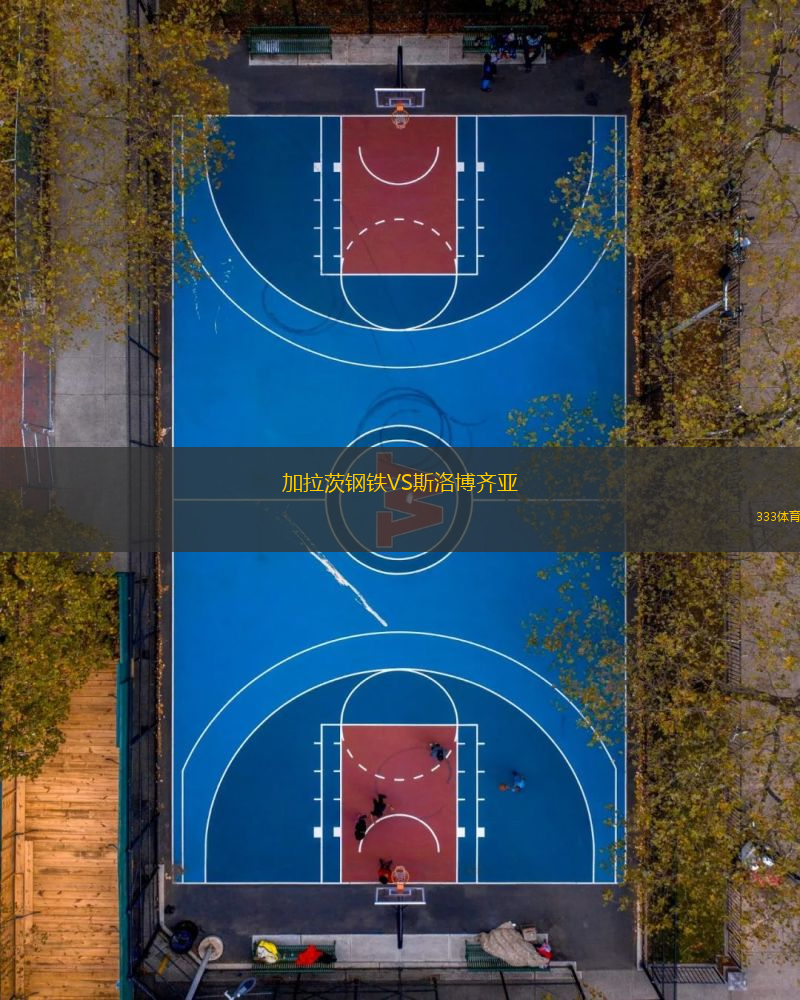 加拉茨鋼鐵VS斯洛博齊亞
