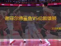 謝菲爾德鯊魚VS倫敦雄獅