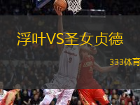 浮葉VS圣女貞德