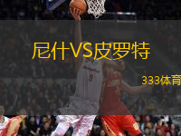 尼什VS皮羅特