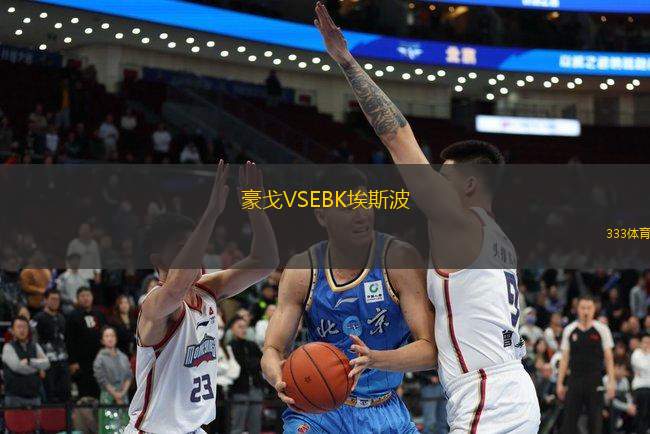 豪戈VSEBK埃斯波
