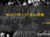 安山小綠人VS釜山偶像