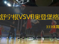 舒寧根VSVfl奧登堡格