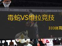 毒蛇VS維拉競技