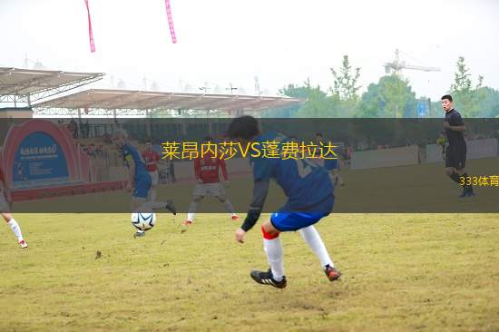 萊昂內(nèi)莎VS蓬費(fèi)拉達(dá)