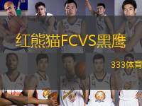 紅熊貓F(tuán)CVS黑鷹