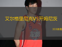 艾爾格里尼克VS開(kāi)姆尼茨