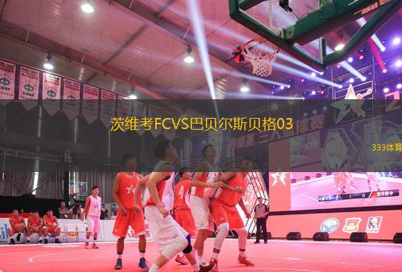 茨維考FCVS巴貝爾斯貝格03