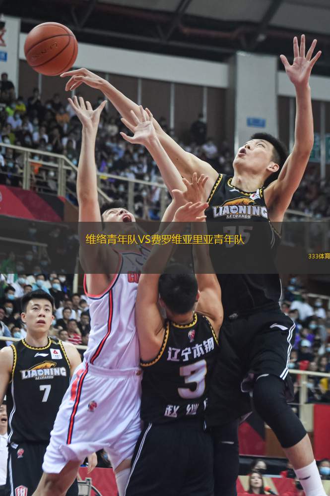 維絡(luò)青年隊VS費羅維亞里亞青年隊