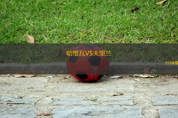哈維瓦VS夫里蘭