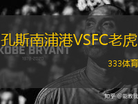 孔斯南浦港VSFC老虎